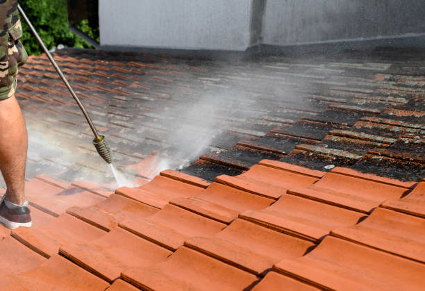 Best Pressure Washing Patio  in Orlovista, FL