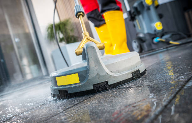 Best Roof Power Washing Services  in Orlovista, FL