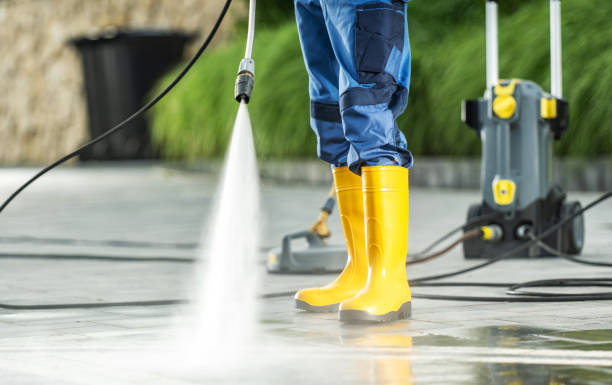 Best Pressure Washing Near Me  in Orlovista, FL