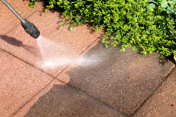 Best Local Pressure Washing Services  in Orlovista, FL