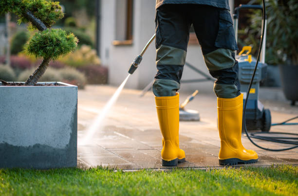 Best Local Pressure Washing Services  in Orlovista, FL